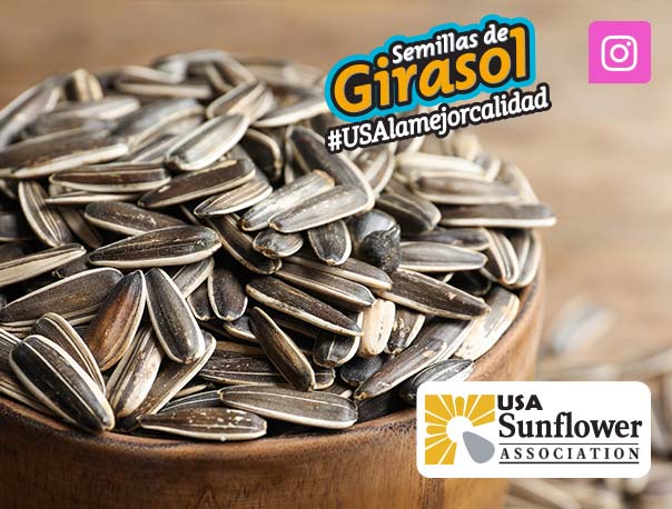 instagram-girasol